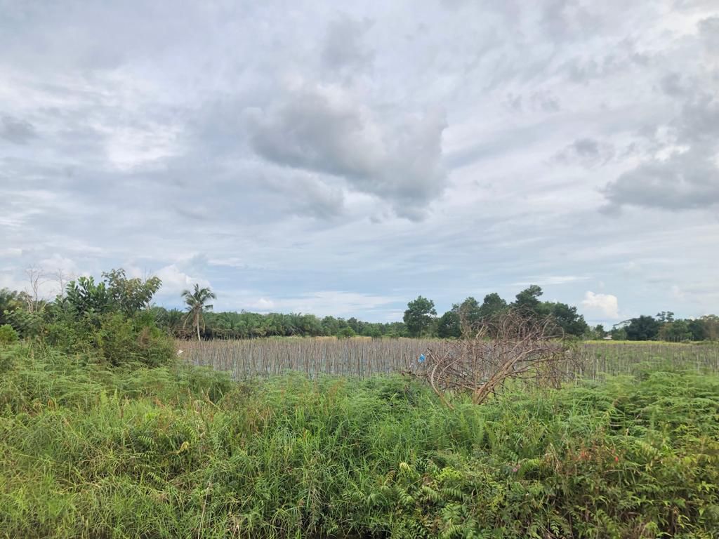 Tanah Kavling — foto 3